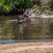 Serengeti - Retima Hippo Pool